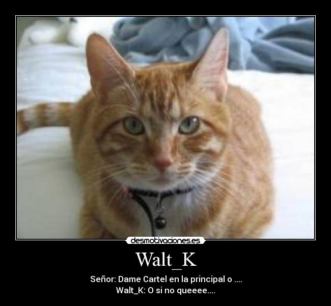 Walt_K - Señor: Dame Cartel en la principal o ....
Walt_K: O si no queeee....