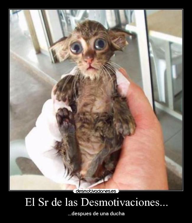 El Sr de las Desmotivaciones... - ...despues de una ducha