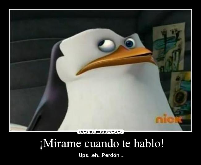 carteles pinguino desmotivaciones