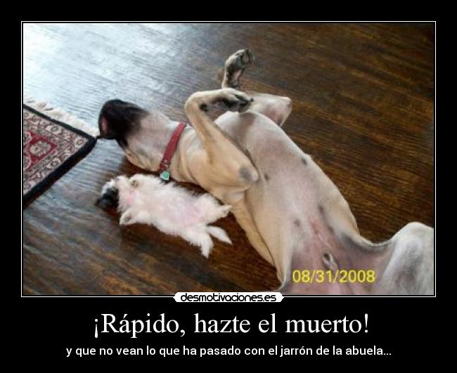 ¡Rápido, hazte el muerto! - y que no vean lo que ha pasado con el jarrón de la abuela...