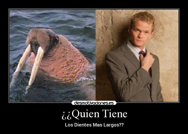 ¿¿Quien Tiene - Los Dientes Mas Largos??
