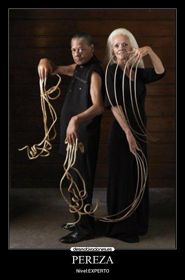 PEREZA - Nivel:EXPERTO