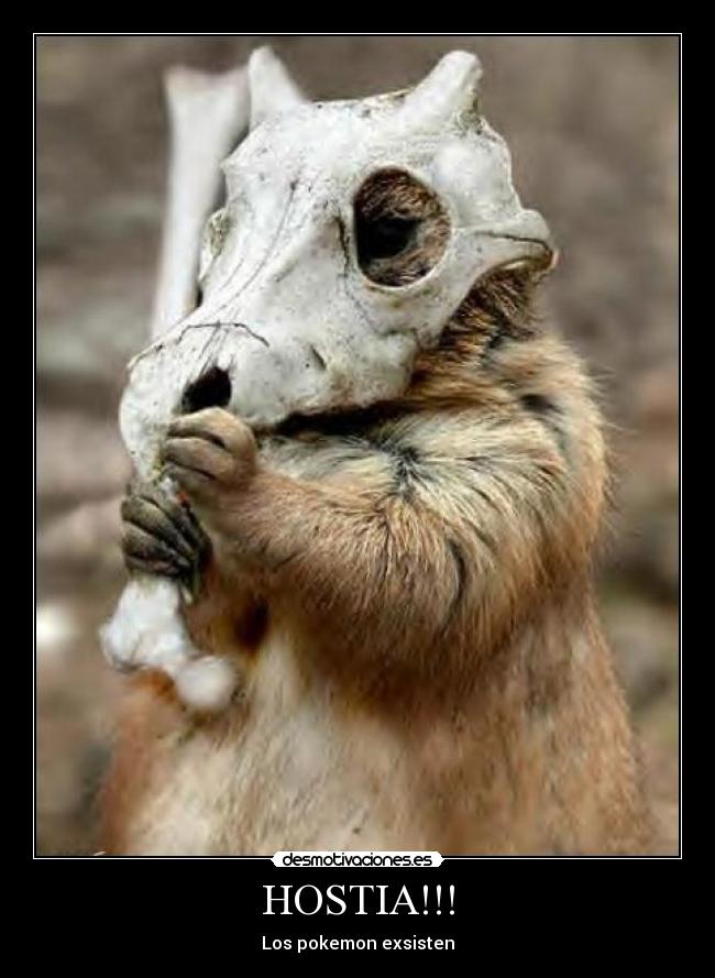 HOSTIA!!! - 