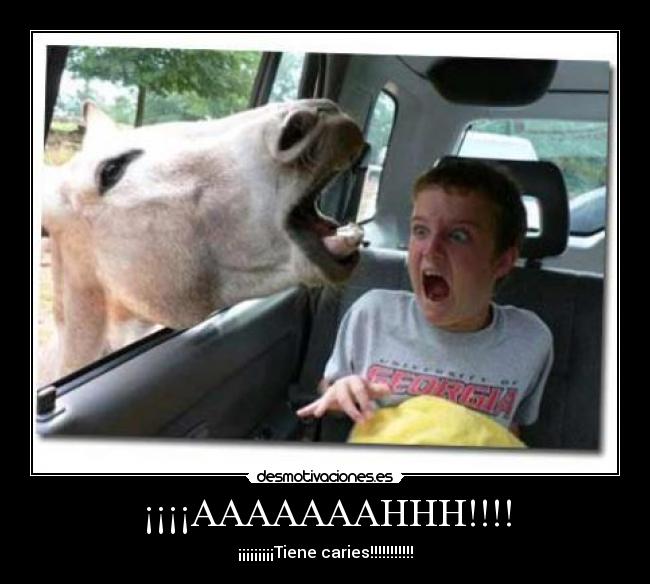 carteles animalada desmotivaciones