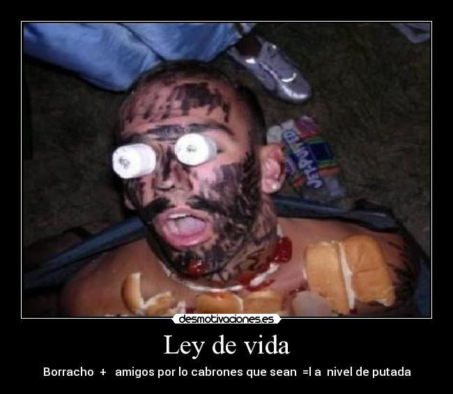 Ley de vida -