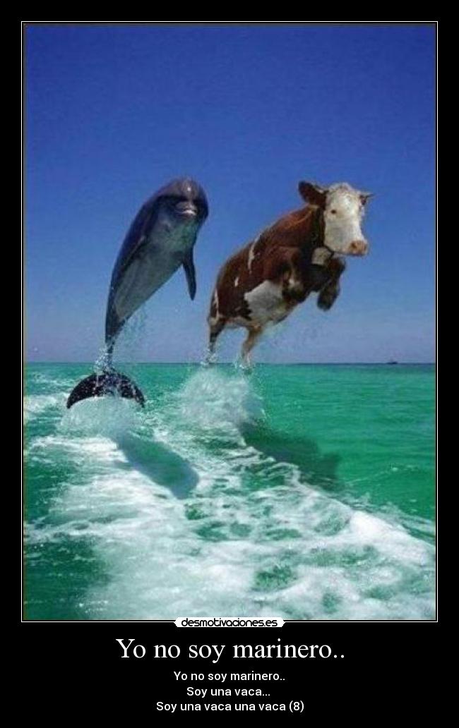 Yo no soy marinero.. - Yo no soy marinero..
Soy una vaca...
Soy una vaca una vaca (8)