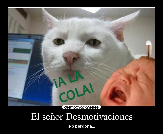 El señor Desmotivaciones - No perdona...
