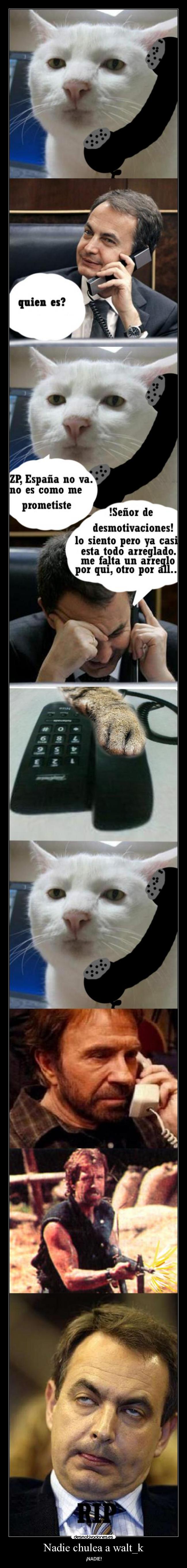 Nadie chulea a walt_k - ¡NADIE!