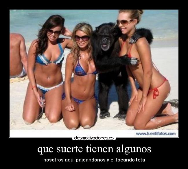 que suerte tienen algunos - 