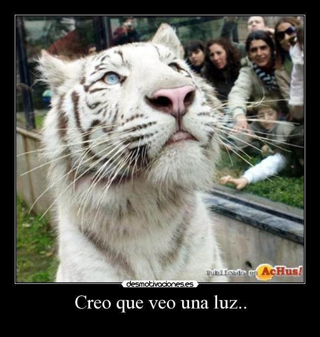 Creo que veo una luz.. - 