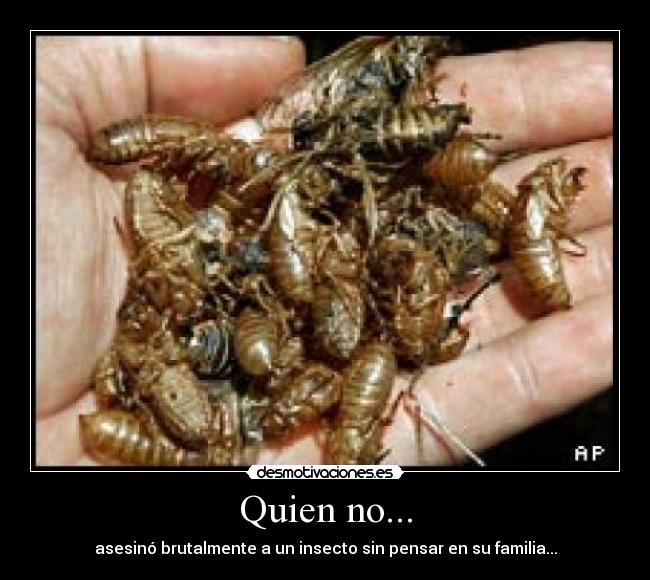 Quien no... -