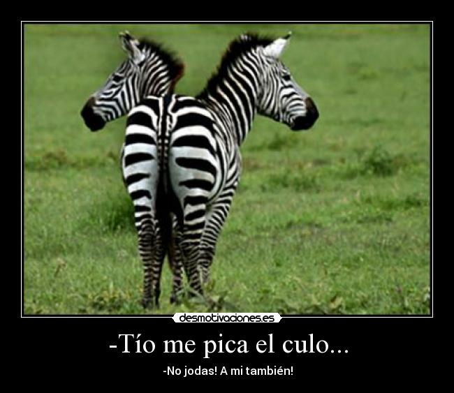-Tío me pica el culo... -