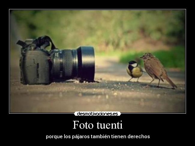 Foto tuenti -