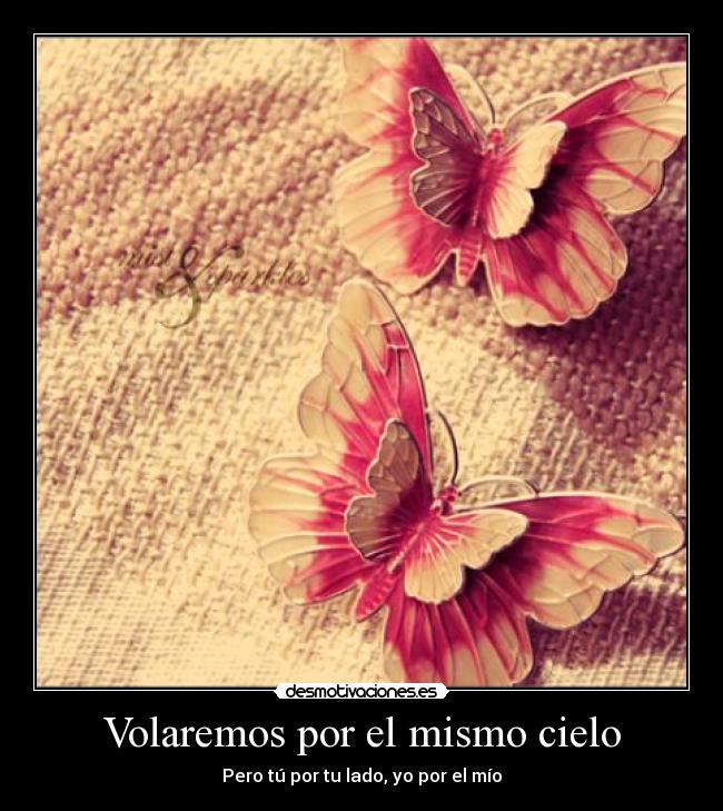 Volaremos por el mismo cielo -