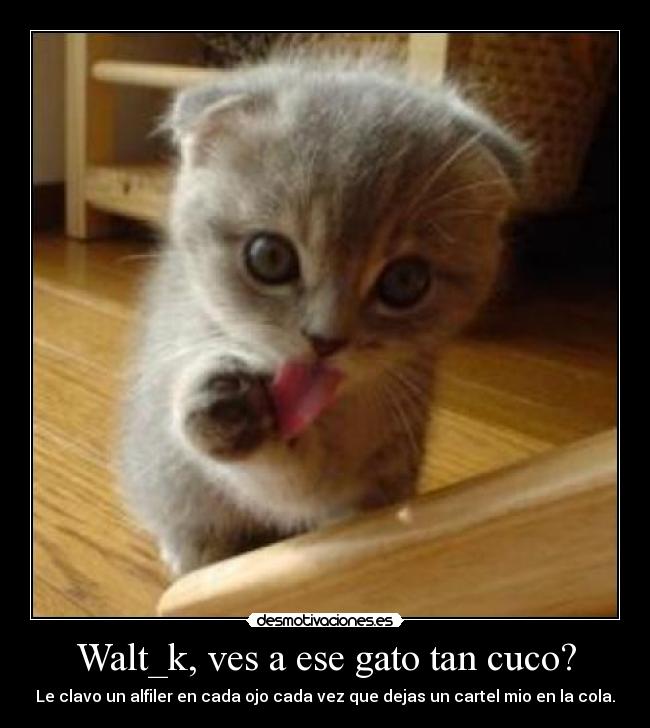 Walt_k, ves a ese gato tan cuco? -