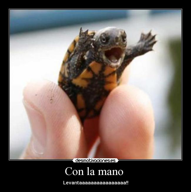 Con la mano -