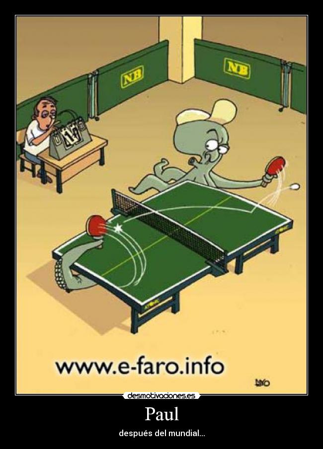 Paul - después del mundial...