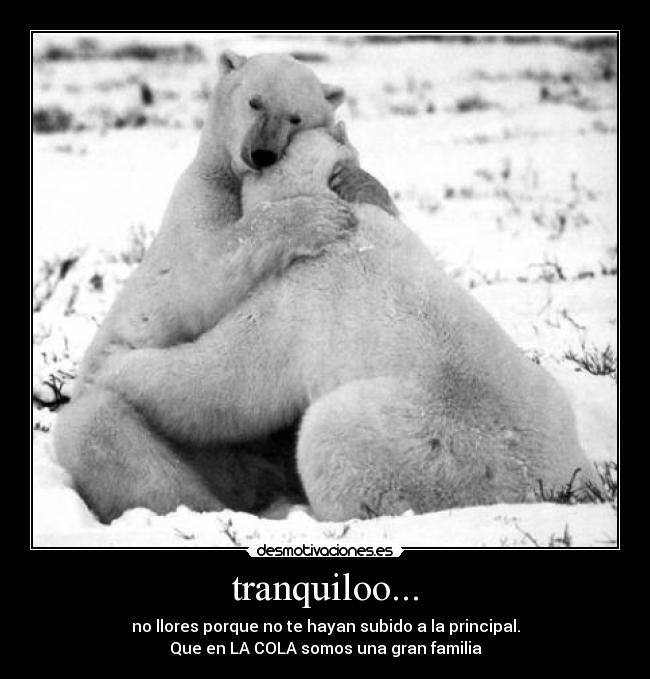 tranquiloo... -