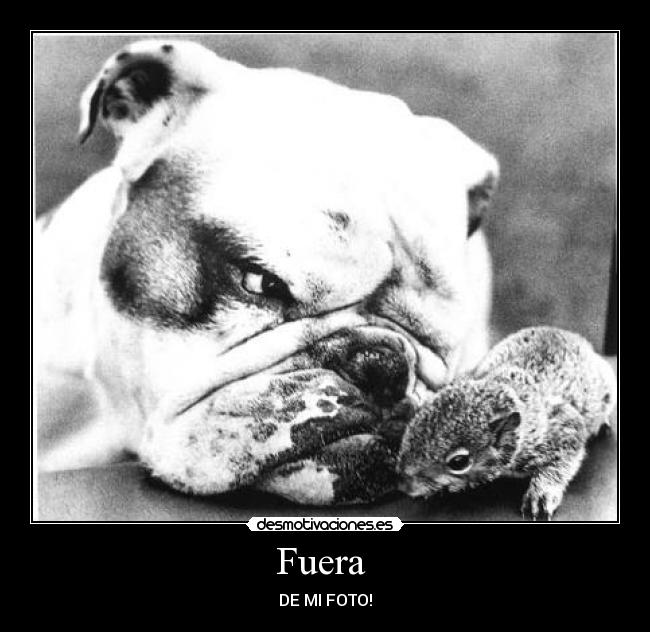 Fuera -
