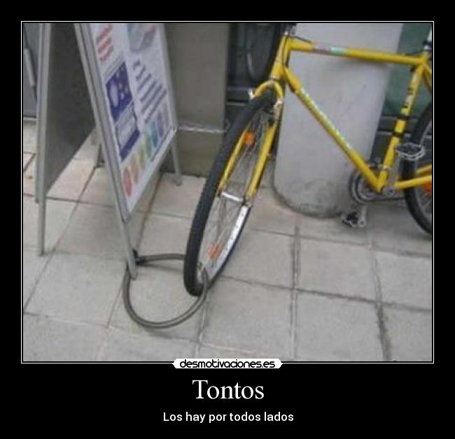 Tontos - Los hay por todos lados