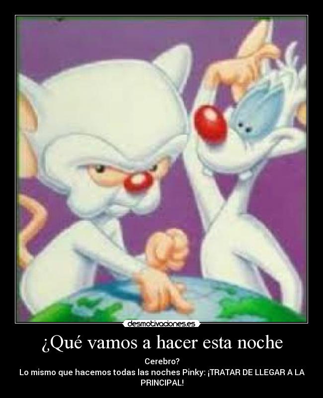 ¿Qué vamos a hacer esta noche -