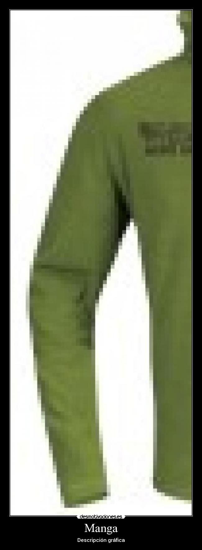 Manga - Descripción gráfica