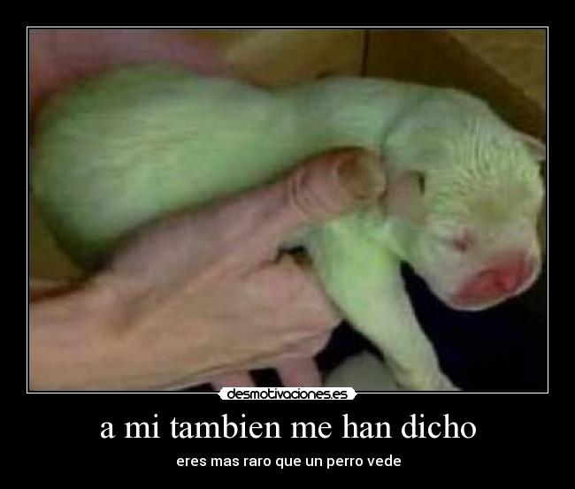 a mi tambien me han dicho - 