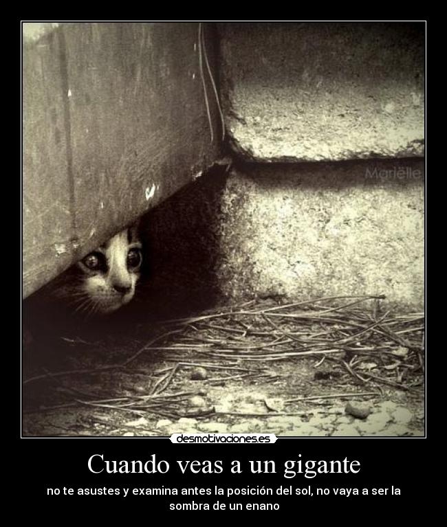 carteles gigante asustar ver posicion del sol sombra enano desmotivaciones