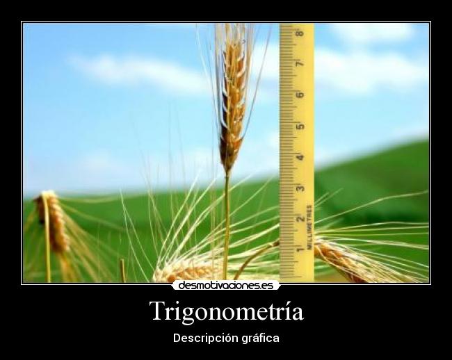 Trigonometría - Descripción gráfica