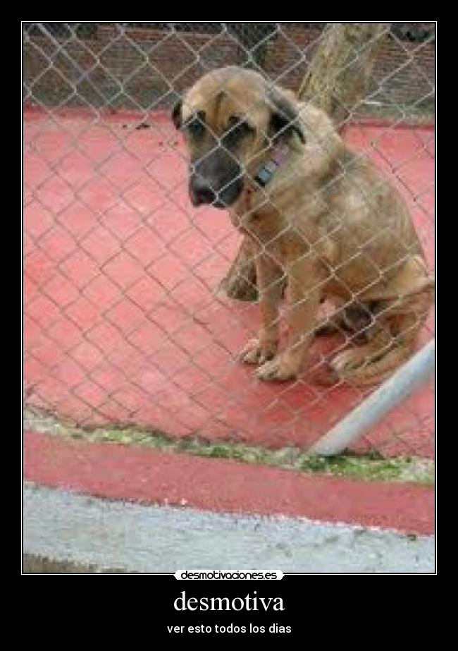 desmotiva - ver esto todos los dias