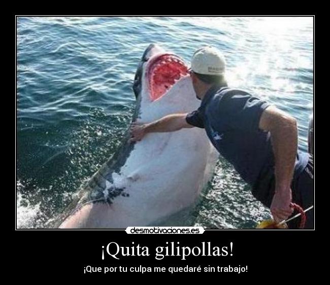 ¡Quita gilipollas! -