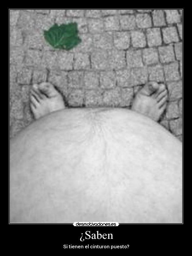 ¿Saben - Si tienen el cinturon puesto?