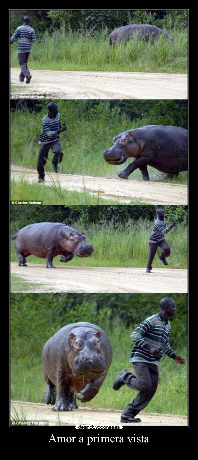 Amor a primera vista -