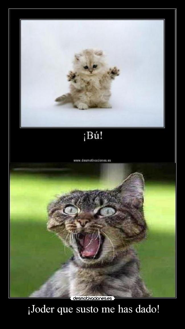 ¡Joder que susto me has dado! - 