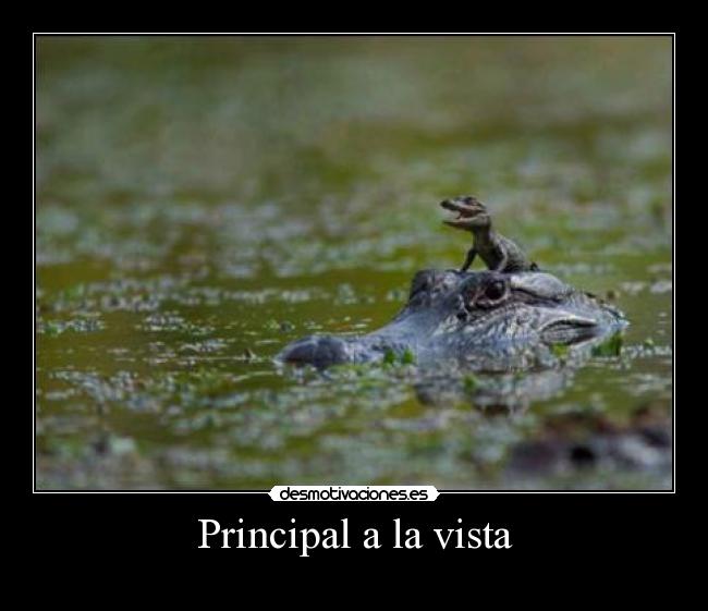 Principal a la vista - 