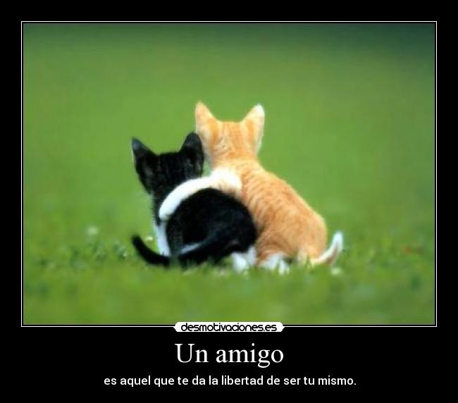 Un amigo - es aquel que te da la libertad de ser tu mismo.