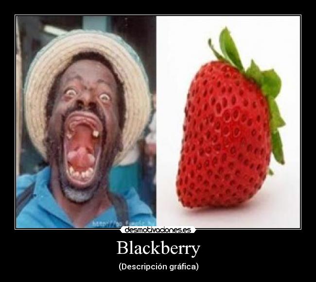 Blackberry - 