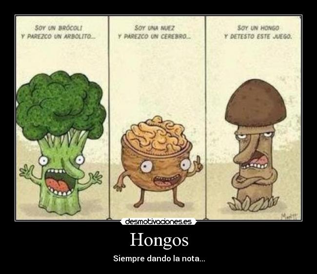 Hongos -