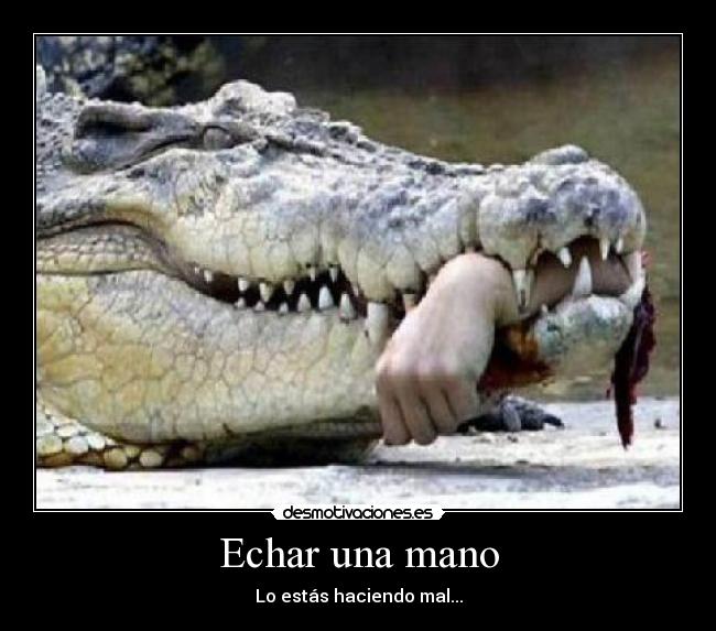 carteles cocodrilo desmotivaciones