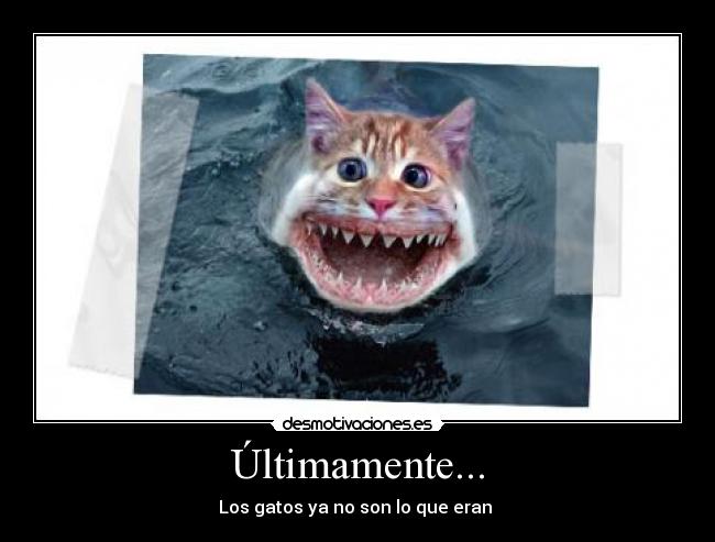 Últimamente... -