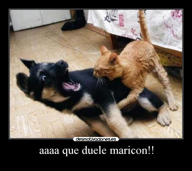 aaaa que duele maricon!! - 