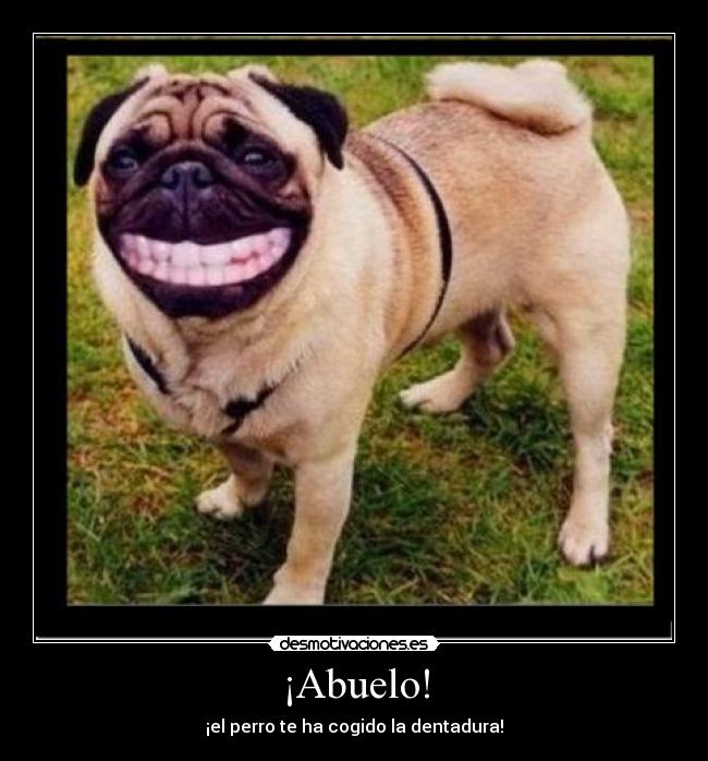 ¡Abuelo! - ¡el perro te ha cogido la dentadura!