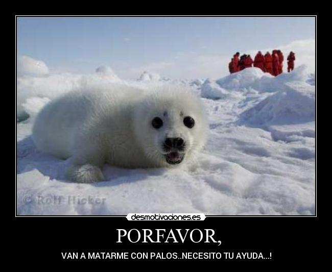  PORFAVOR, - 