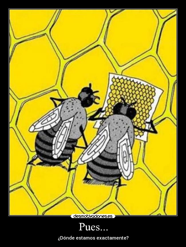 Pues... - ¿Dónde estamos exactamente?