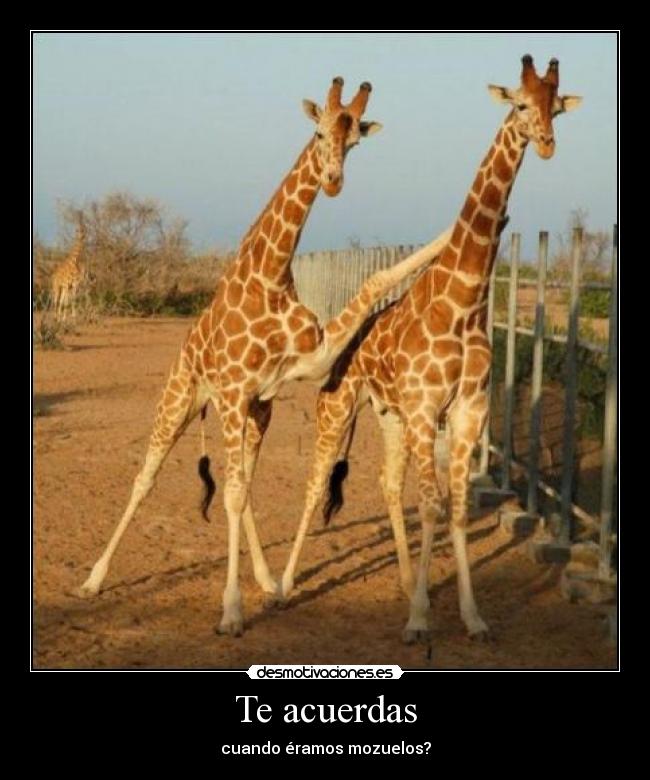 Te acuerdas - cuando éramos mozuelos?