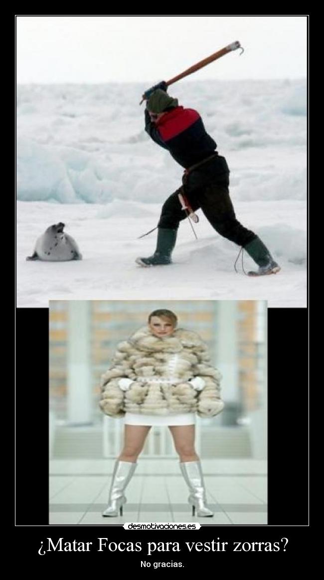 ¿Matar Focas para vestir zorras? - 