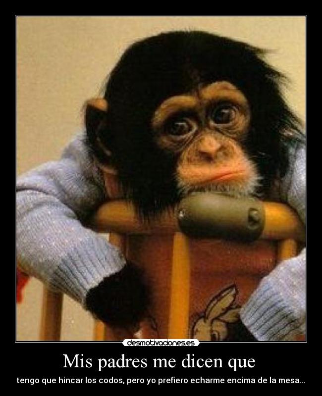Mis padres me dicen que - tengo que hincar los codos, pero yo prefiero echarme encima de la mesa...