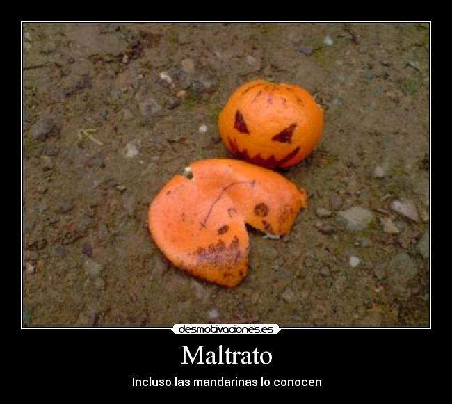 Maltrato - Incluso las mandarinas lo conocen