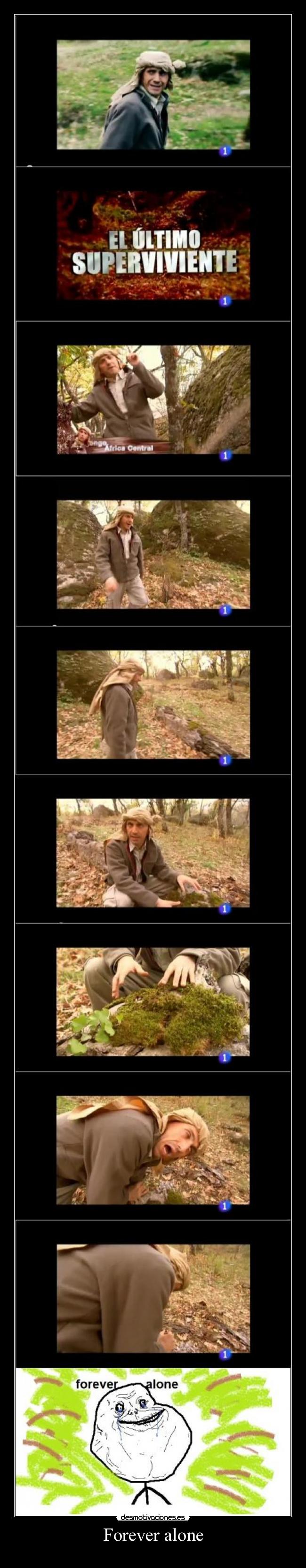 carteles forever alone mola mogollon jajaja desmotivaciones