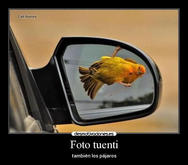 Foto tuenti -